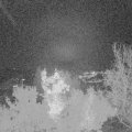 Webcam_20221113-200000
