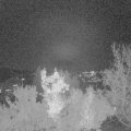 Webcam_20221113-204500