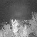 Webcam_20221114-181500