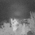 Webcam_20221114-193000