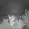 Webcam_20221114-204500