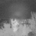 Webcam_20221115-180000