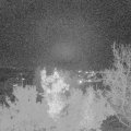 Webcam_20221115-183000