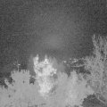 Webcam_20221116-051500