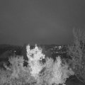 Webcam_20221116-070000