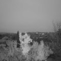 Webcam_20221116-071500