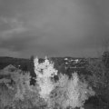 Webcam_20221116-171500