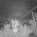 Webcam_20221117-051500