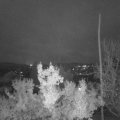 Webcam_20221117-070000