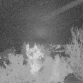 Webcam_20221117-181500