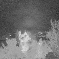 Webcam_20221117-214500