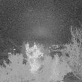 Webcam_20221117-220000