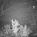 Webcam_20221118-063000