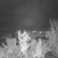 Webcam_20221118-180000