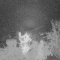 Webcam_20221119-051500
