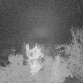 Webcam_20221119-054500