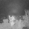 Webcam_20221119-060000