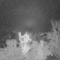 Webcam_20221119-063000