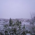 Webcam_20221119-073000