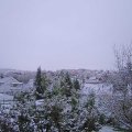 Webcam_20221119-080000