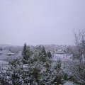 Webcam_20221119-081500