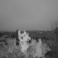 Webcam_20221120-071500
