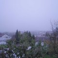 Webcam_20221120-080000