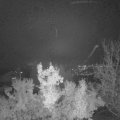 Webcam_20221120-191500