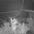 Webcam_20221120-204500