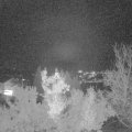 Webcam_20221121-183000