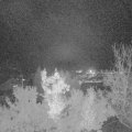 Webcam_20221122-183000