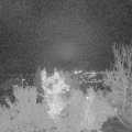 Webcam_20221122-191500