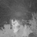 Webcam_20221125-051500