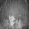 Webcam_20221126-053000
