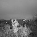Webcam_20221126-071500