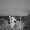 Webcam_20221127-170000