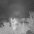 Webcam_20221127-193000