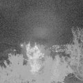 Webcam_20221127-203000