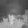 Webcam_20221127-220000