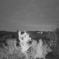 Webcam_20221128-071500