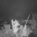 Webcam_20221128-173000