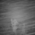 Webcam_20221129-173000