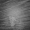 Webcam_20221129-200000