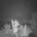 Webcam_20221130-061500