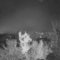 Webcam_20221130-191500