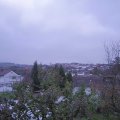 Webcam_20221201-080000
