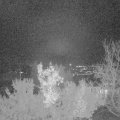 Webcam_20221203-063000
