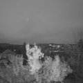 Webcam_20221204-170000