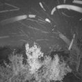 Webcam_20221205-070000