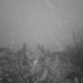 Webcam_20221205-074500